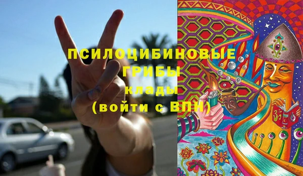 apvp Арсеньев