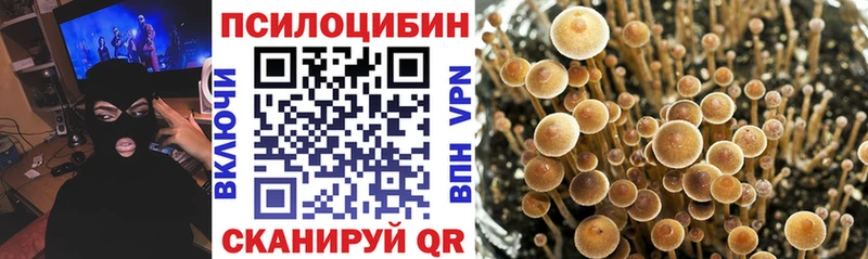 Галлюциногенные грибы Magic Shrooms OMG как войти Обоянь